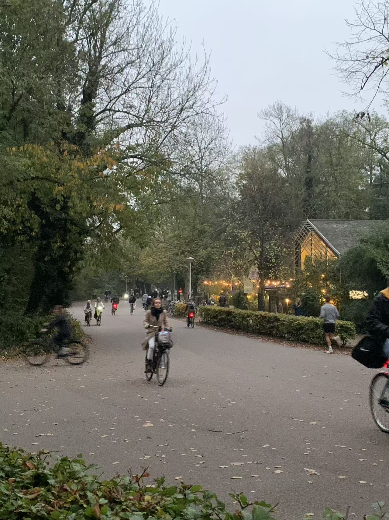 Afternoon Ride